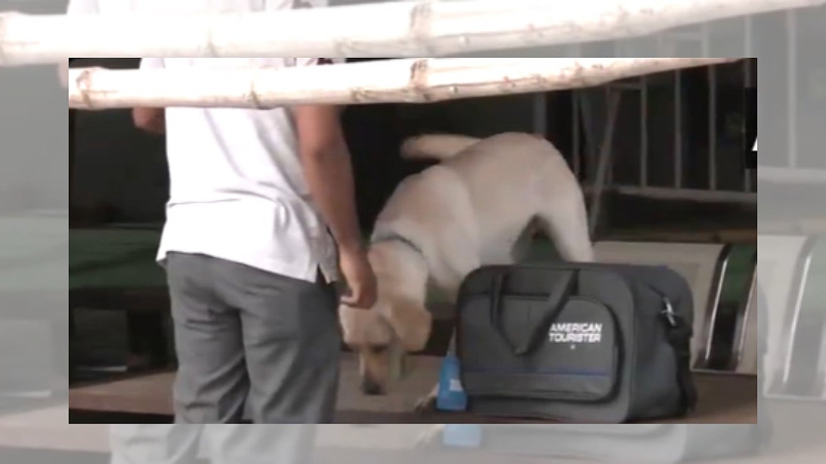 Nashik: Area Evacuated After Suspicious Bag Found; Police Inspection Reveals False Alarm